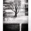 El írbol de los árboles - Imagen 3