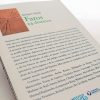 Faros; 24 Destinos - Imagen 4