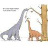 Los Dinosaurios 2Ed - Imagen 6