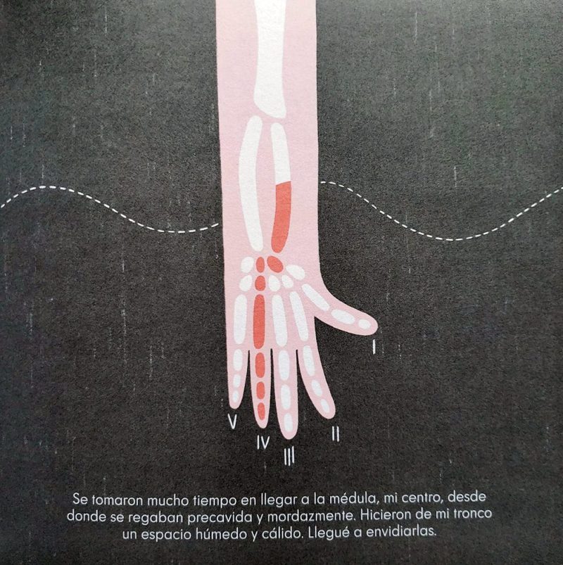 Termitas - Imagen 4