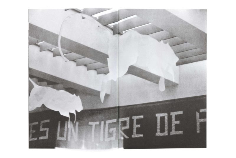 Caro Barato - Imagen 5