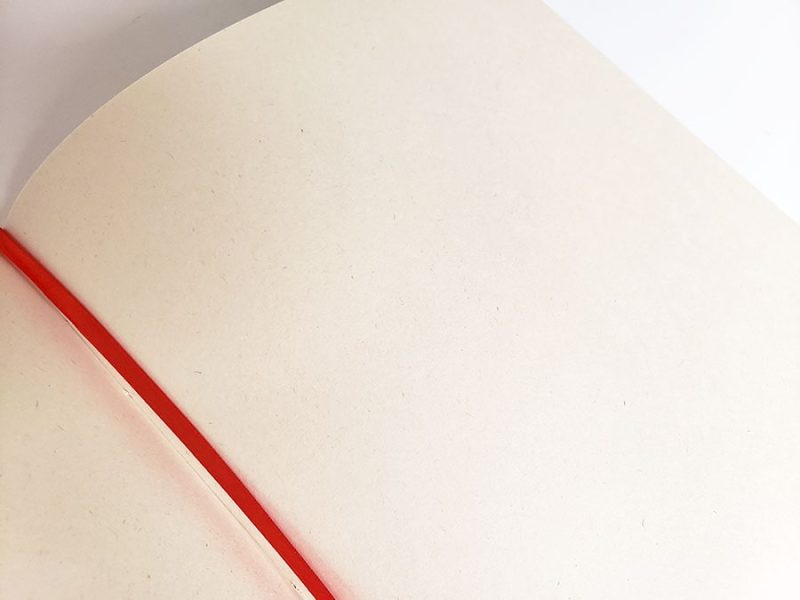 Cuaderno Ecosistema Páramo - Imagen 3