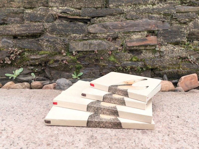 Cuaderno Oso melero - Imagen 6