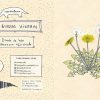 Cuaderno Diente de león - Imagen 4