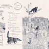 Cuaderno Ecosistema Páramo - Imagen 4