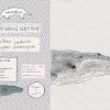 Cuaderno Ballena jorobada - Imagen 4