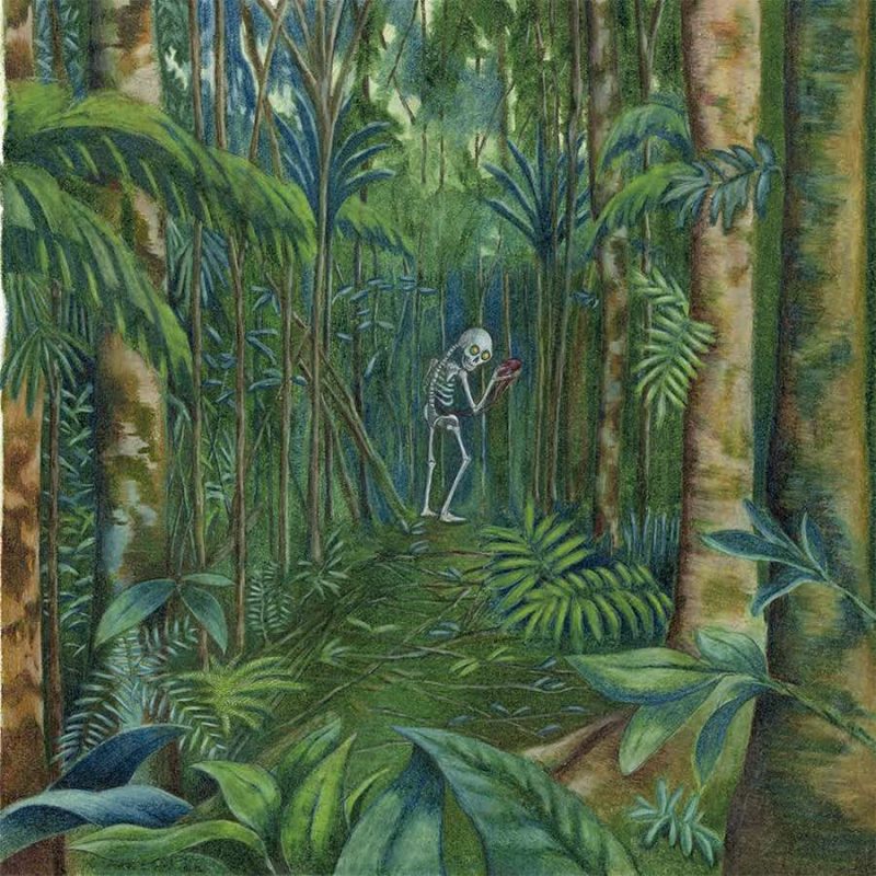 Boca de maguaré - Imagen 10