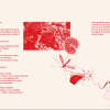 Animal ajena - Imagen 3