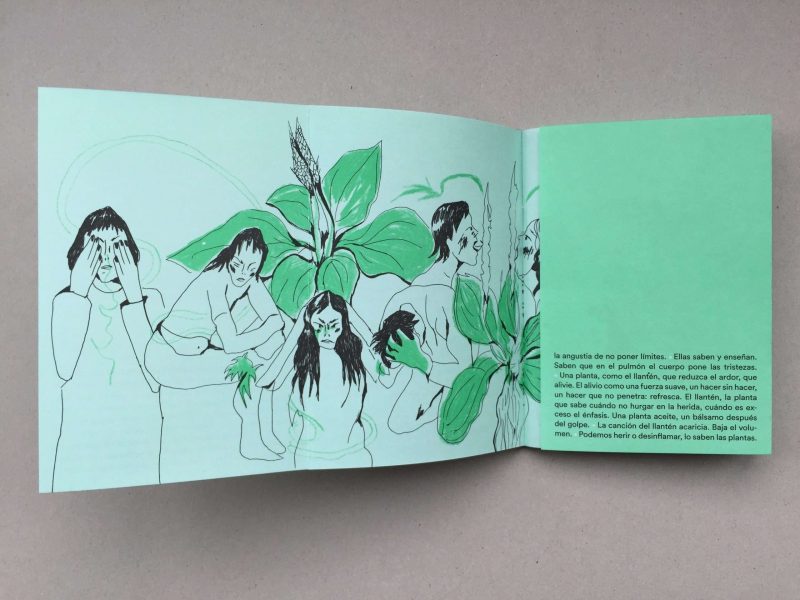 Plantas del camino - Imagen 5