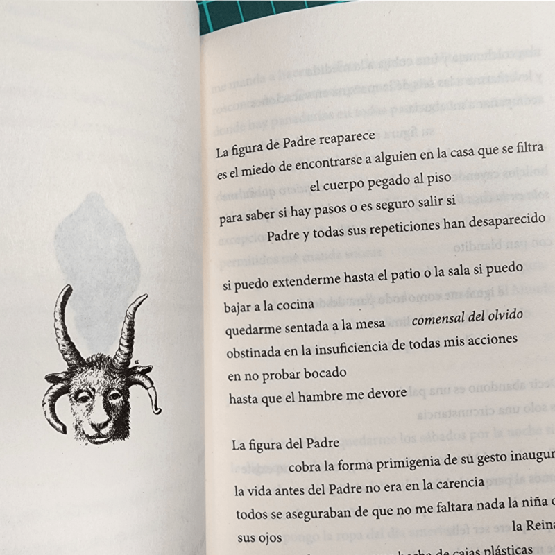 Pan piedra - Imagen 4