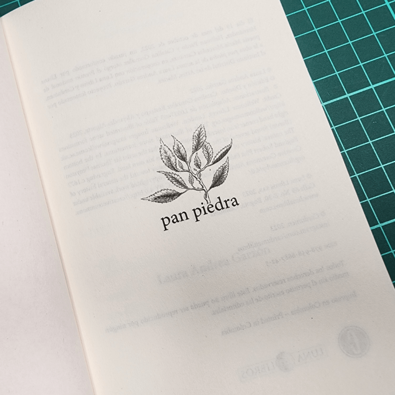 Pan piedra - Imagen 5