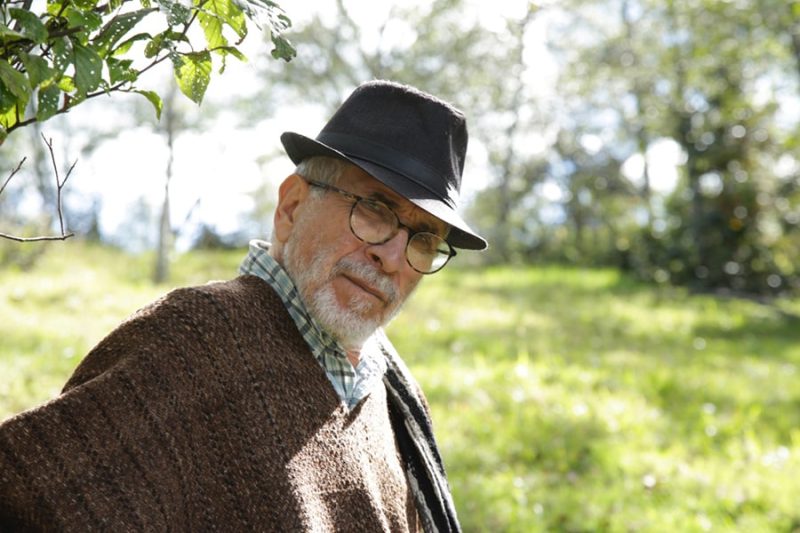 Abuelo de pájaro - Imagen 4