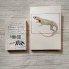 Cuaderno Lagarto Collarejo - Imagen 3