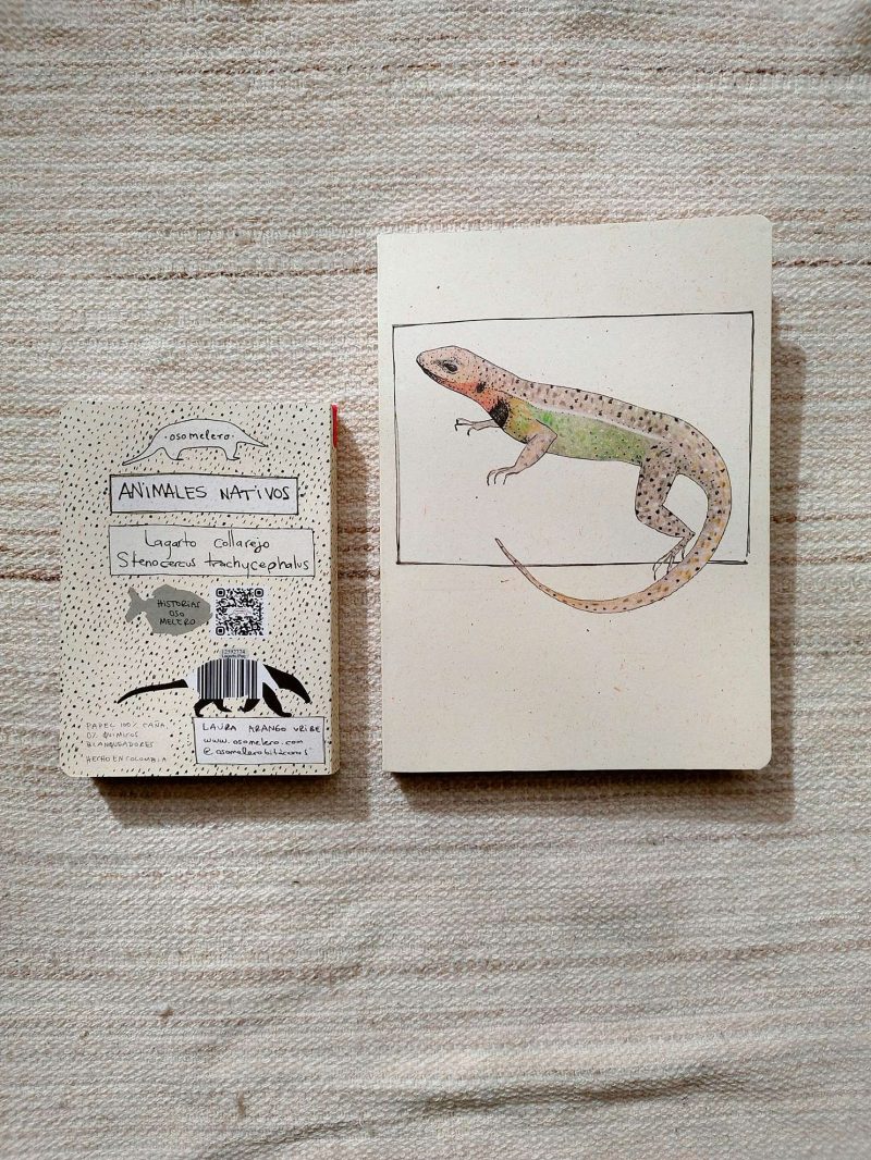 Cuaderno Lagarto Collarejo - Imagen 3