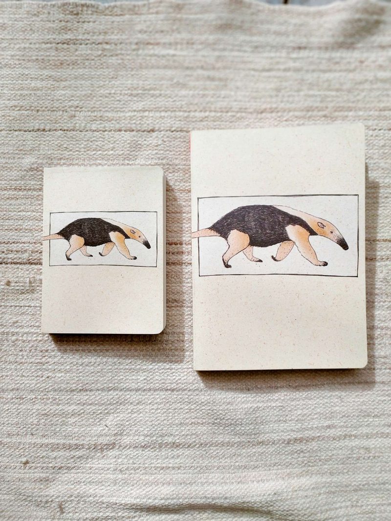 Cuaderno Oso melero - Imagen 4