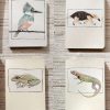Cuaderno Martín Pescador - Imagen 5