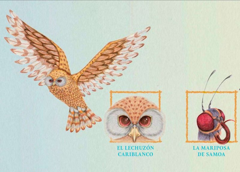 ¿Sabes cuáles son? Aire - Imagen 5