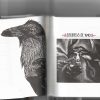 Expediente No 8. Juan Francisco Moncaleano: Anarquista Indomable - Imagen 3