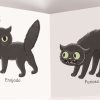¡MIAU! - Imagen 4