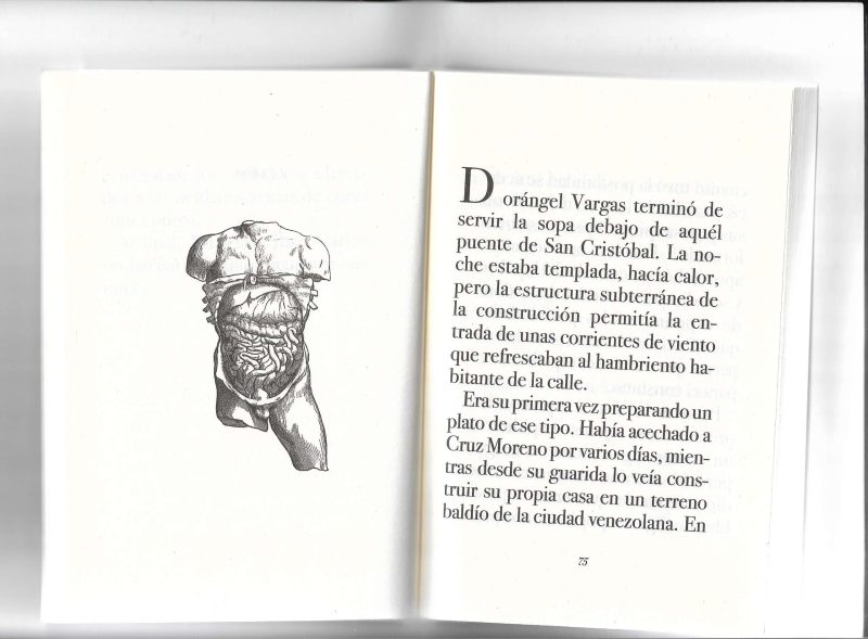 Carne - Imagen 4