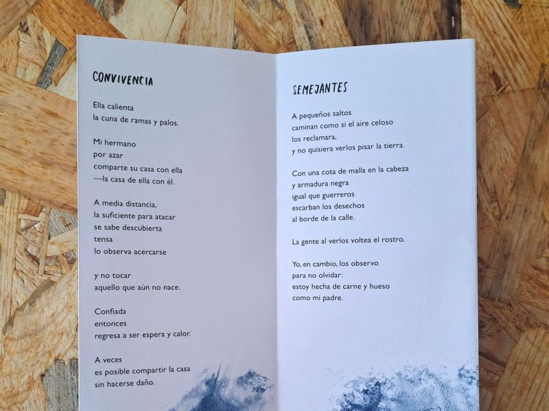 Así limpio el mundo - Imagen 4
