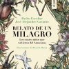 Relato de un milagro. Los cuatro niños que volvieron del Amazonas - Imagen 3