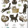 Cuaderno MIAU! - Imagen 4