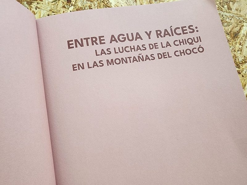 Entre agua y raíces: las luchas de la Chiqui en las montañas del Chocó - Imagen 5