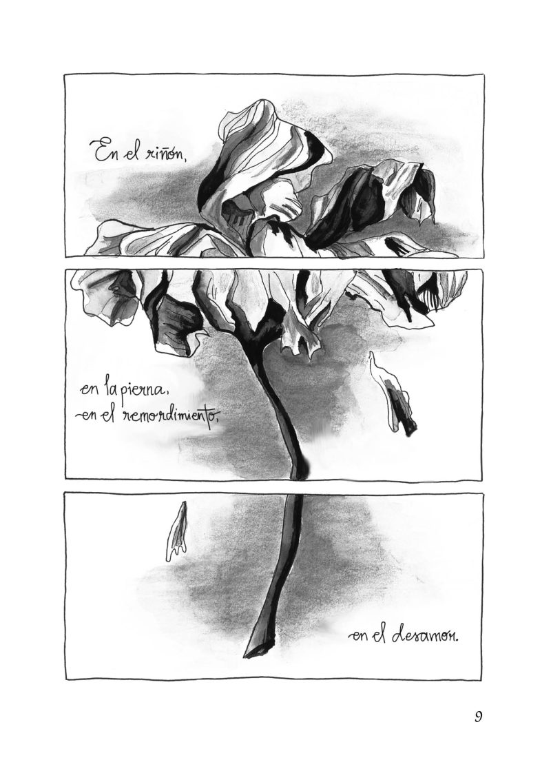 Canción de otoño - Imagen 3