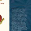 El sueño del árbol - Imagen 3