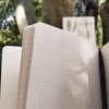 Cuaderno Bichos - Imagen 4