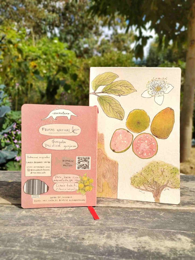 Cuaderno Guayaba - Imagen 4