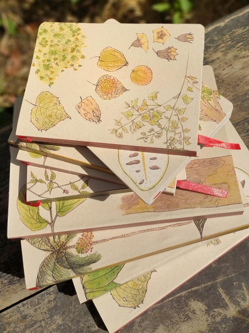 Cuaderno Uchuva - Imagen 5