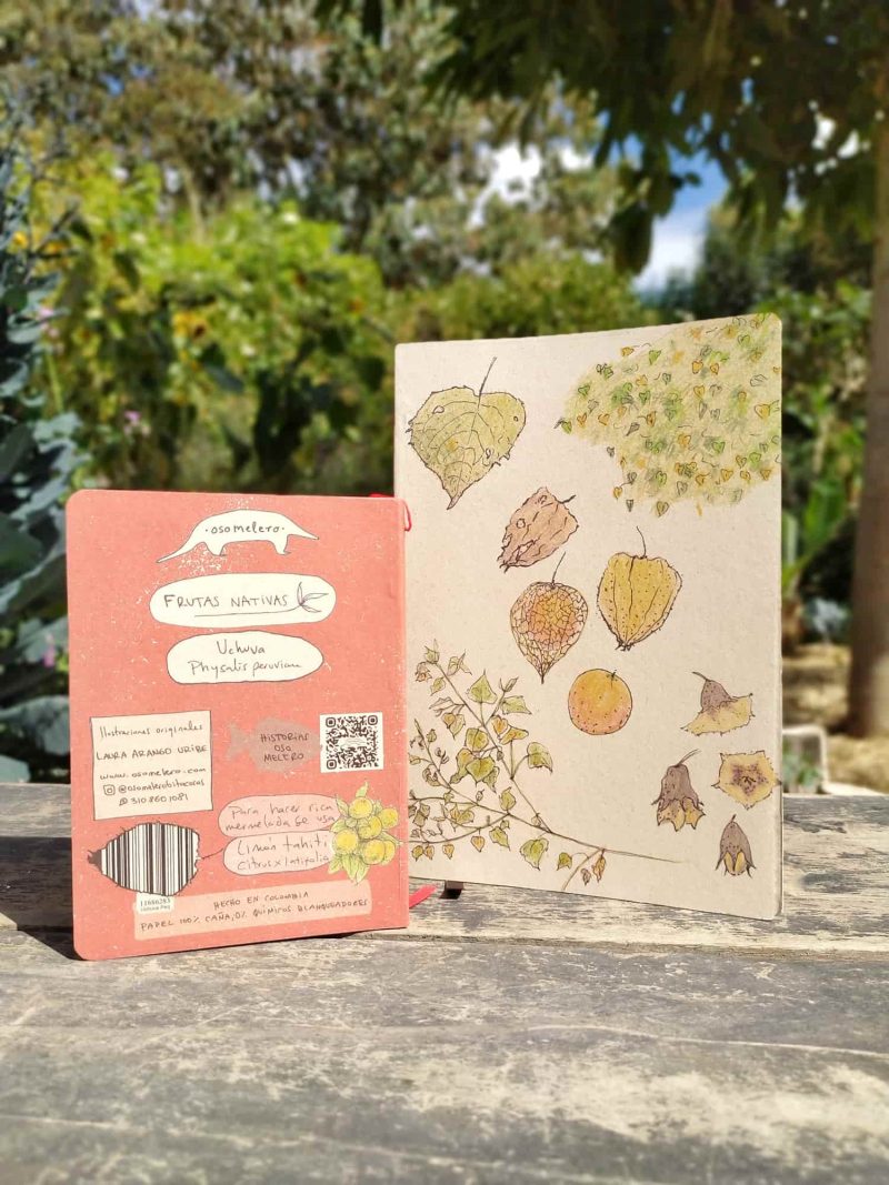 Cuaderno Uchuva - Imagen 4