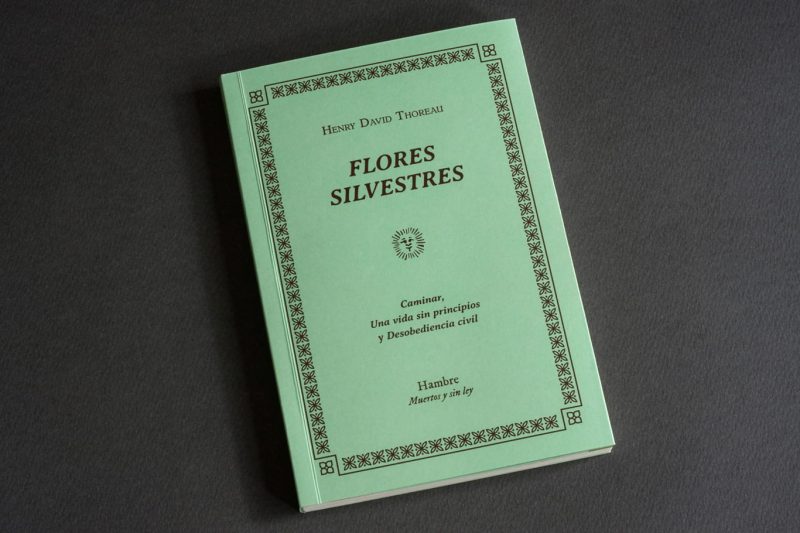 Flores Silvestres - Imagen 3