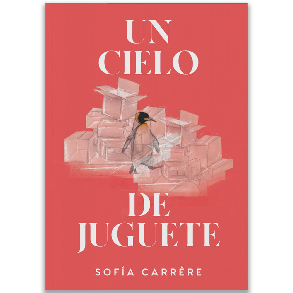 Un Cielo De Juguete