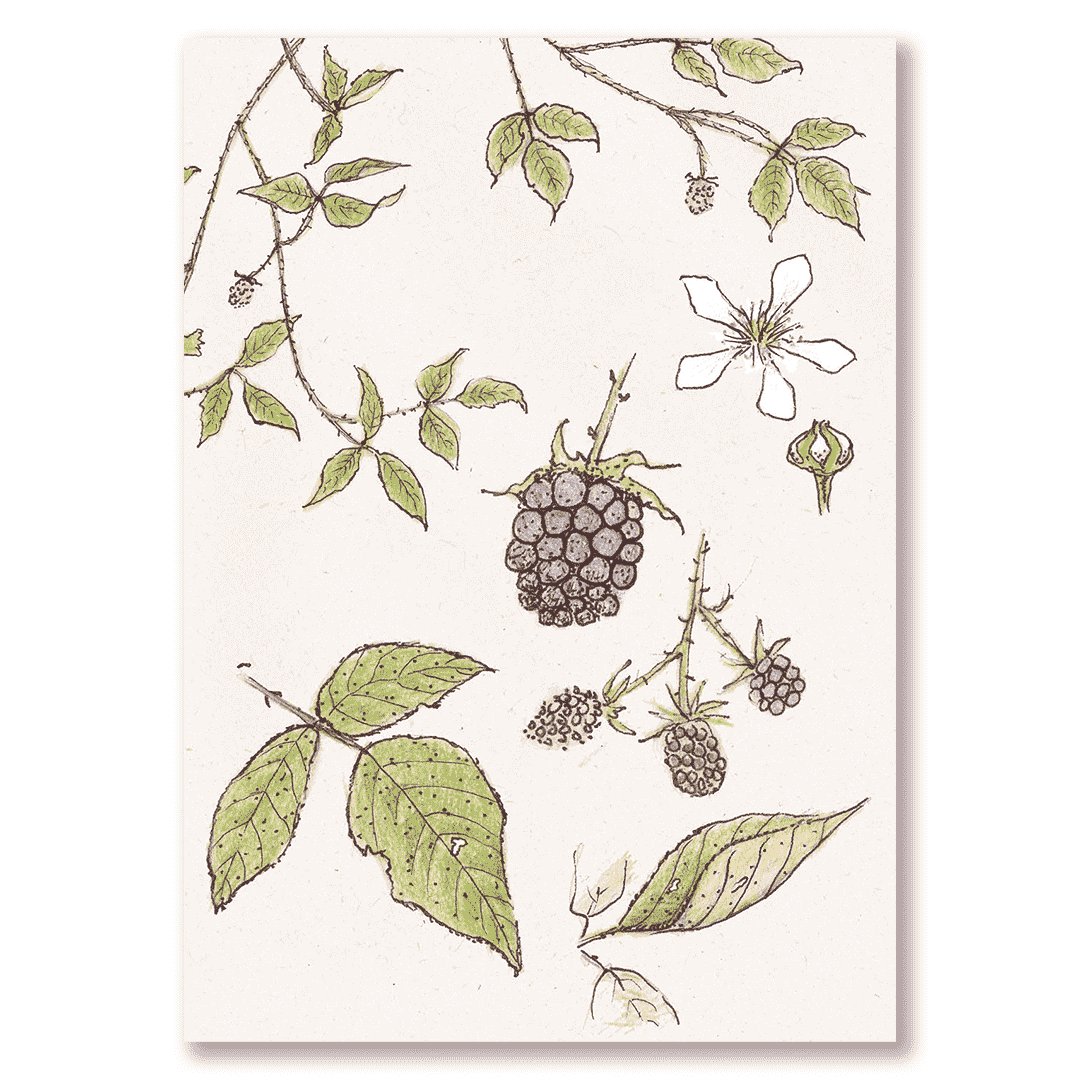 Cuaderno Mora
