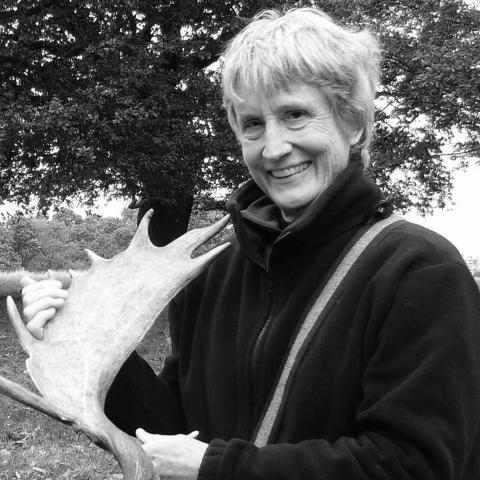Donna J. Haraway