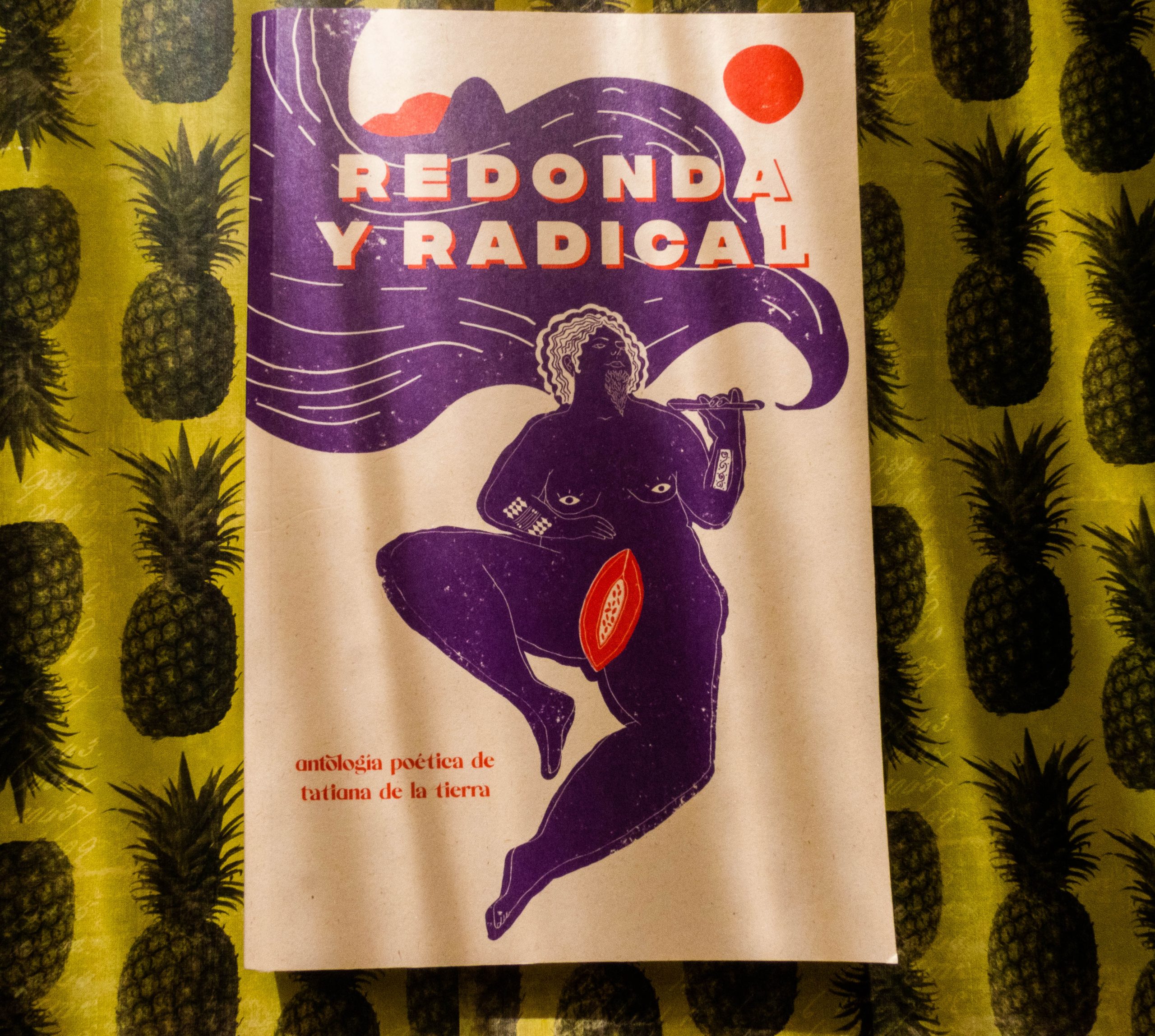 Páginas interiores de Redonda y radical