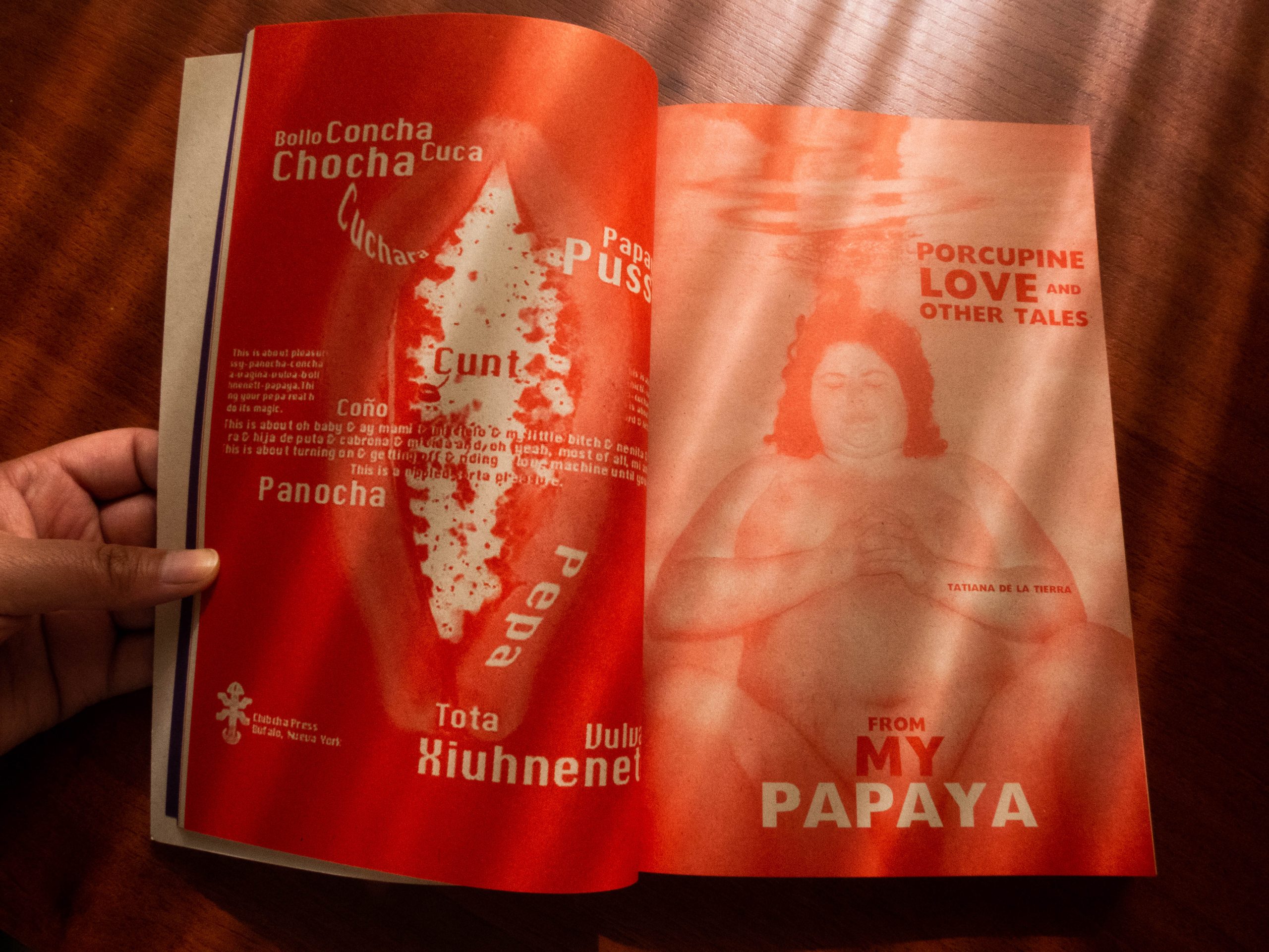 Páginas interiores de Redonda y radical